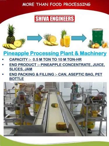 pineapple processing machinery|PRODUCTION GUIDE FOR PINEAPPLE .